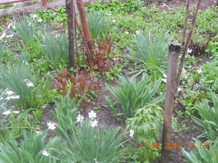 DSCN0466 - Oituz 2012