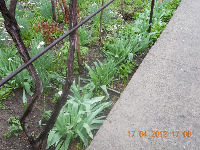 DSCN0469 - Oituz 2012