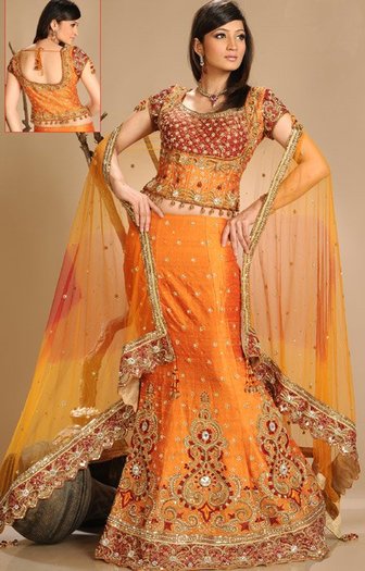 167761_10150093066858394_186537938393_6114736_7423064_n - lengha choli