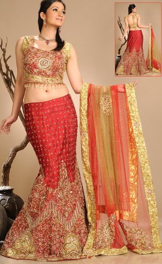 168084_10150093066953394_186537938393_6114740_6263641_n - lengha choli