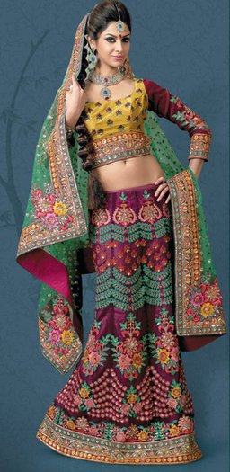 168315_10150093065068394_186537938393_6114661_2357079_n - lengha choli