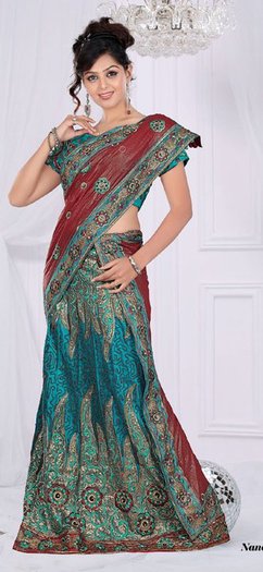 168645_10150093065828394_186537938393_6114689_1726271_n - lengha choli