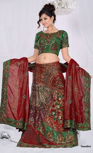 180520_10150093067248394_186537938393_6114749_2266803_n - lengha choli