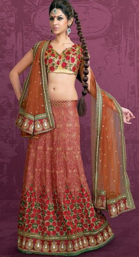 180597_10150093065343394_186537938393_6114671_6702037_n - lengha choli