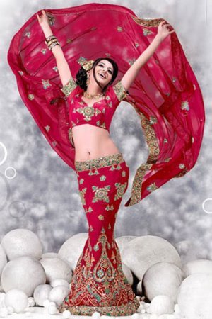185479_10150269503008394_186537938393_7507249_4517292_n - lengha choli