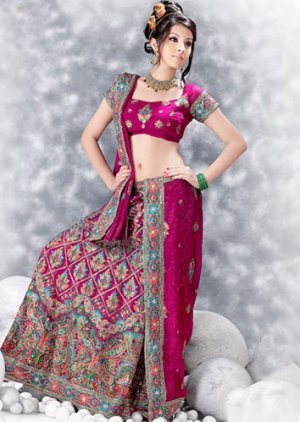 250255_10150269502843394_186537938393_7507242_1453512_n - lengha choli