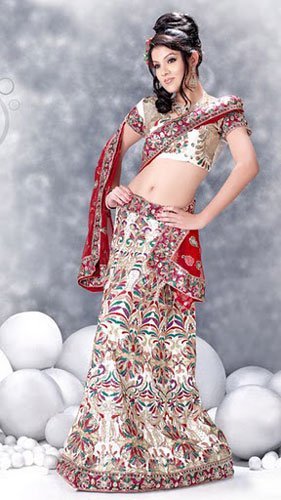 251573_10150269502928394_186537938393_7507246_4327090_n - lengha choli