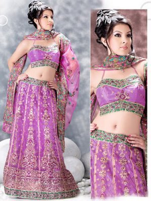 252031_10150269502783394_186537938393_7507239_240076_n - lengha choli