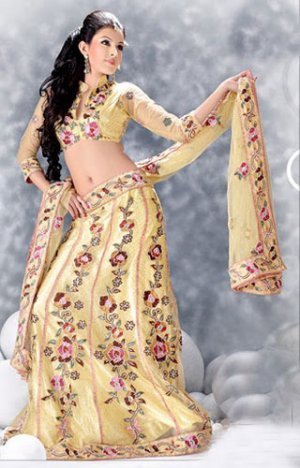 283475_10150269503123394_186537938393_7507255_3525118_n - lengha choli