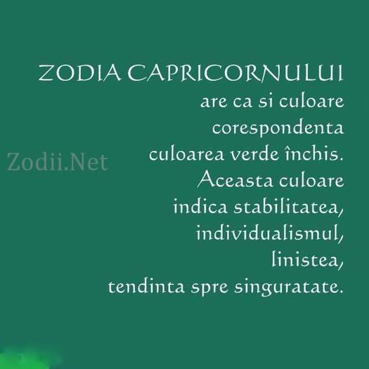 capricorn - Culorile zodiilor