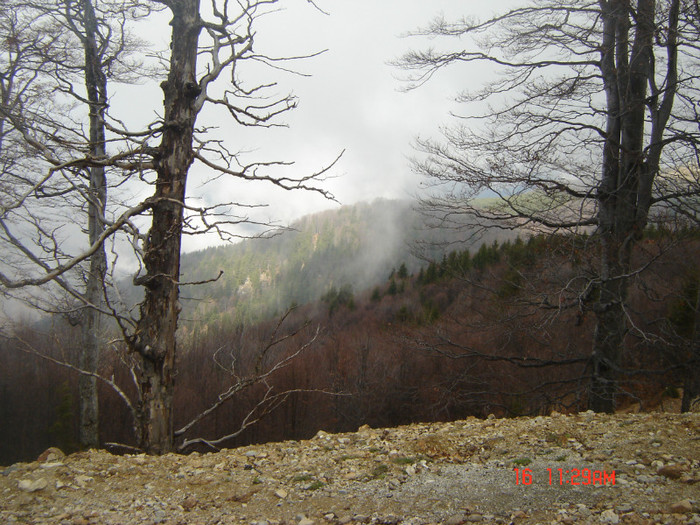 2 - la Ranca si Transalpina