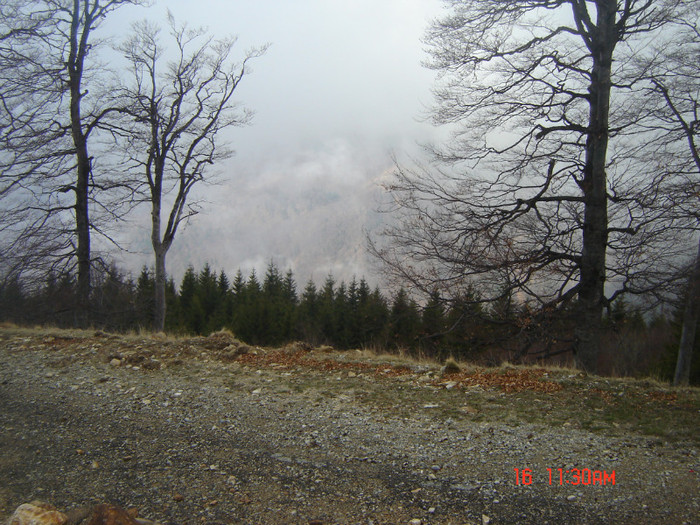 4 - la Ranca si Transalpina