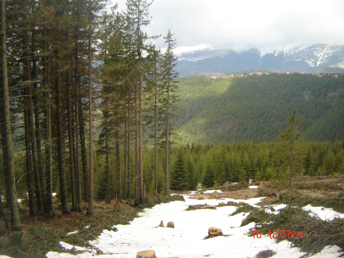 19 - la Ranca si Transalpina