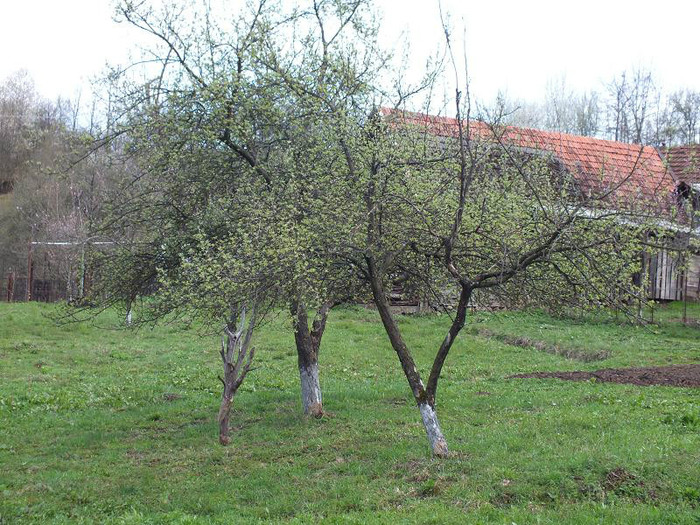 DSCF0983