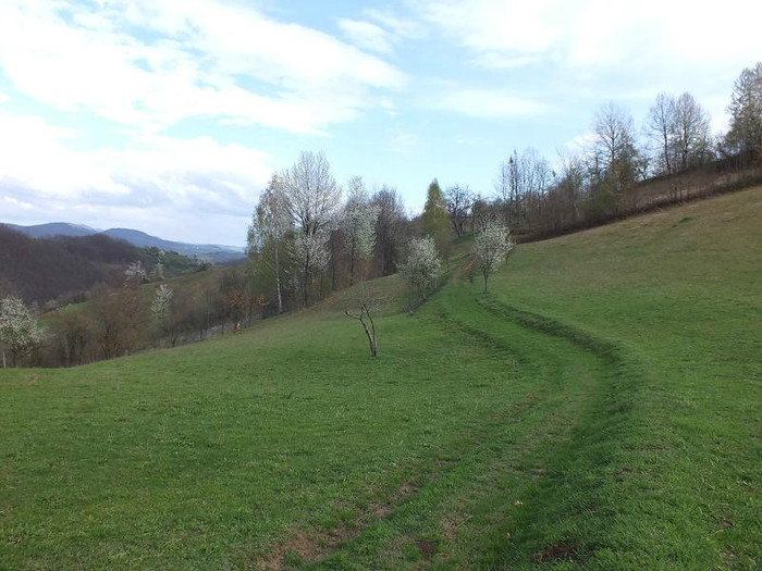 DSCF1006
