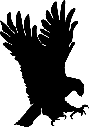 flying-eagle-silhouette-clip-art - Pasari rapitoare