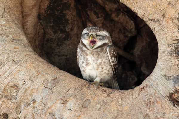 shutterstock-76367542