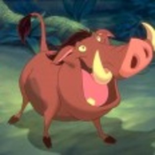 Timon_and_Pumbaa_1265237485_0_1995