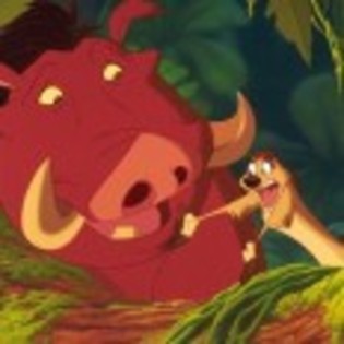 Timon_and_Pumbaa_1265237486_4_1995 - aaa-poze timon si pumba-aaa