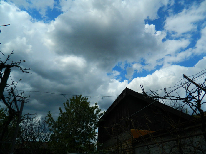 DSCN2483
