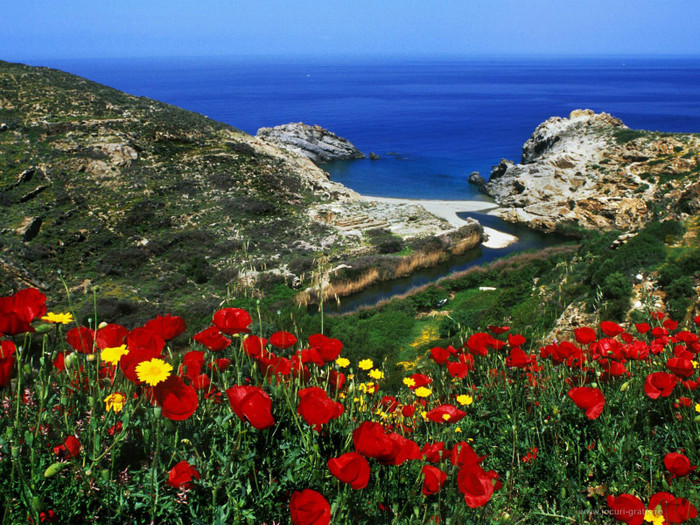 camp-de-maci_1600x1200