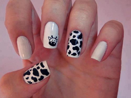 526936_342067822508029_275640322484113_873621_1098783765_n