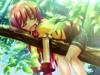 Imi place sa ma sui in copaci