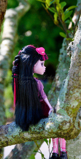 the_braid_isn__t_the_best_by_unstablejoker-d4towkd - monster high