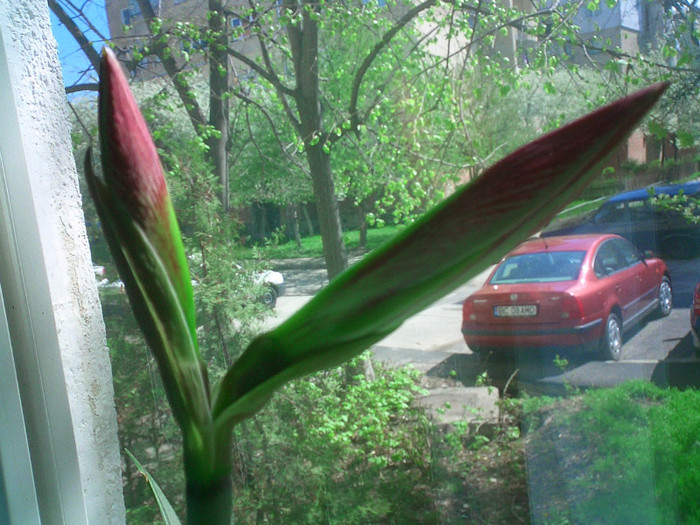 CIMG0046