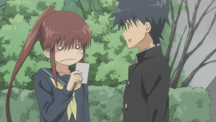 Riko facanduse de ras