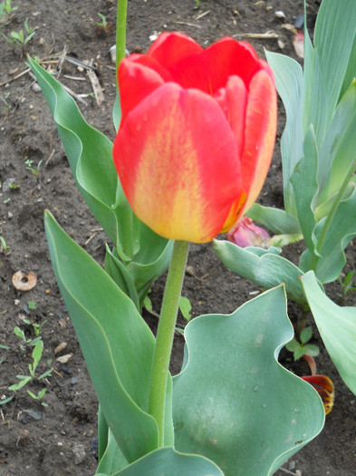 DSCN2562