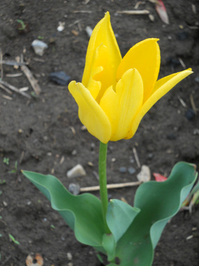 DSCN2564
