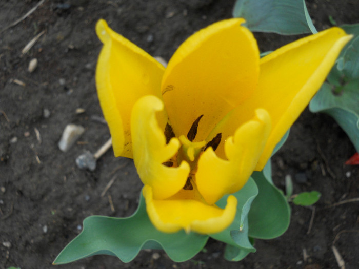 DSCN2565