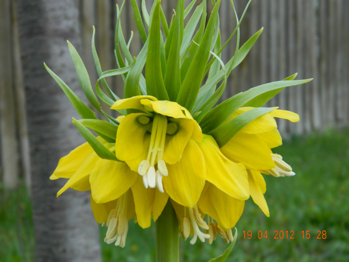 009 - 4_APRILIE