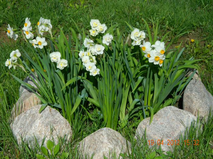 017 - 4_APRILIE