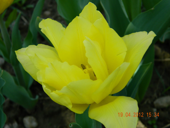 022 - 4_APRILIE