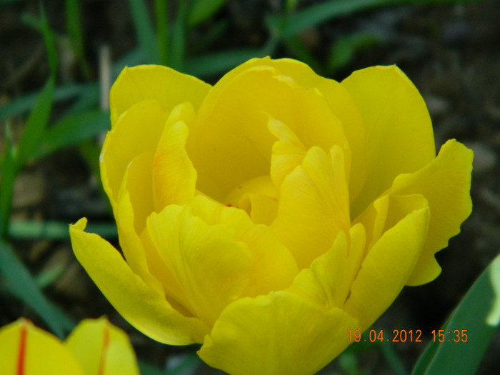 024 - 4_APRILIE