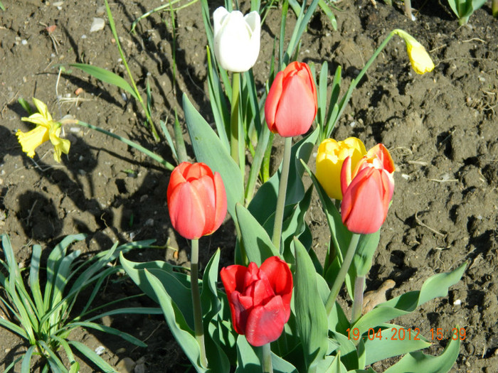 030 - 4_APRILIE