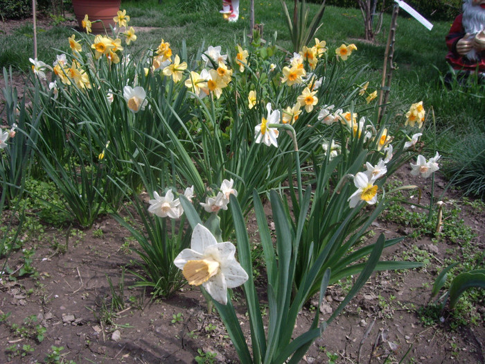 IMGP1641 - Flori 2012