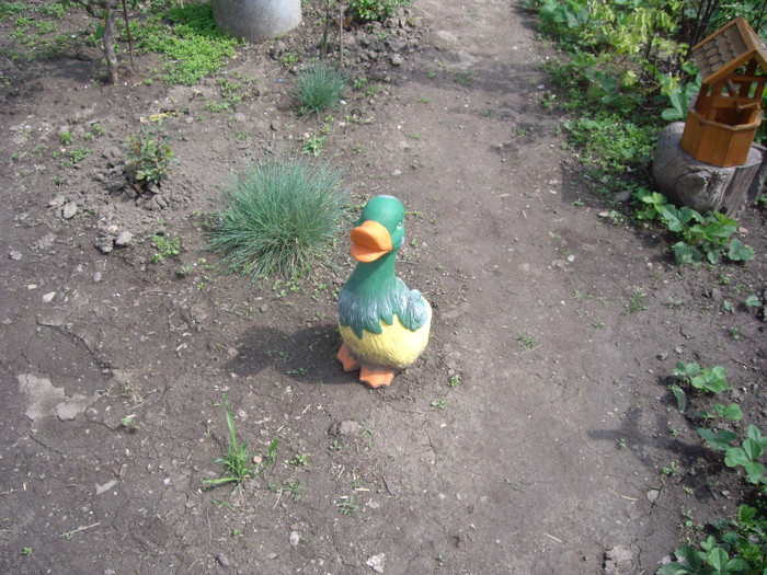 IMGP1642 - Flori 2012