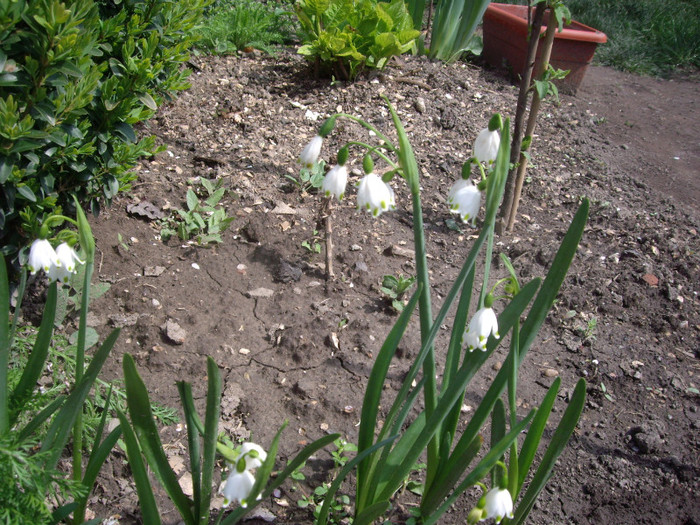 IMGP1644 - Flori 2012