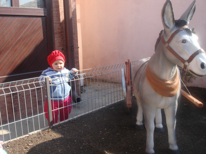 DSC04446 - familia mea