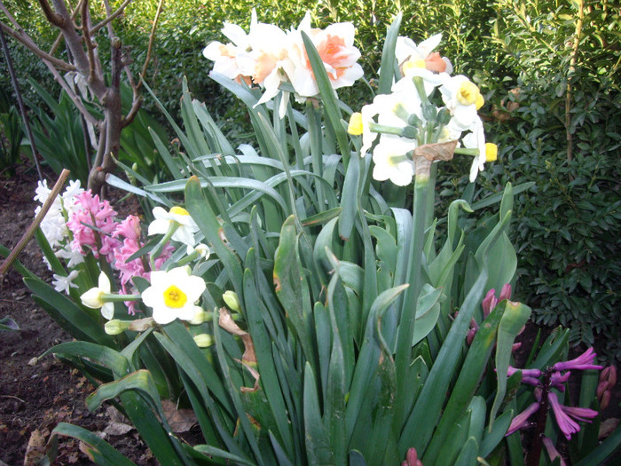 IMGP1478 - Flori 2012