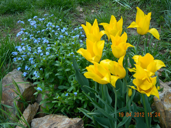 001 - 4_APRILIE