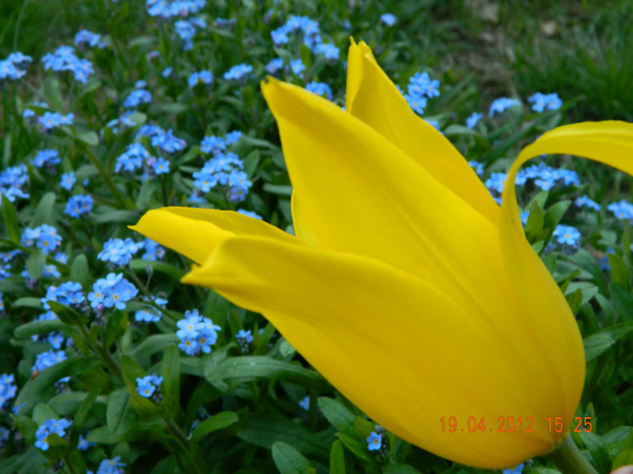 002 - 4_APRILIE