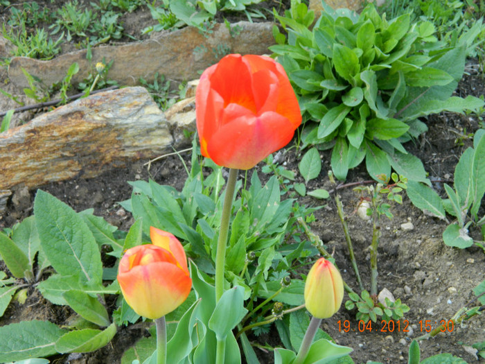 012 - 4_APRILIE