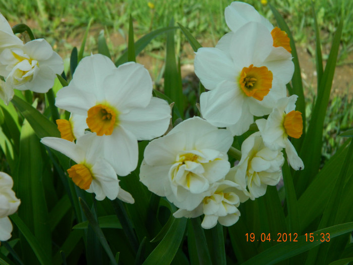 018 - 4_APRILIE