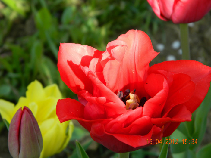 023 - 4_APRILIE
