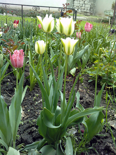 P200412_13.270001