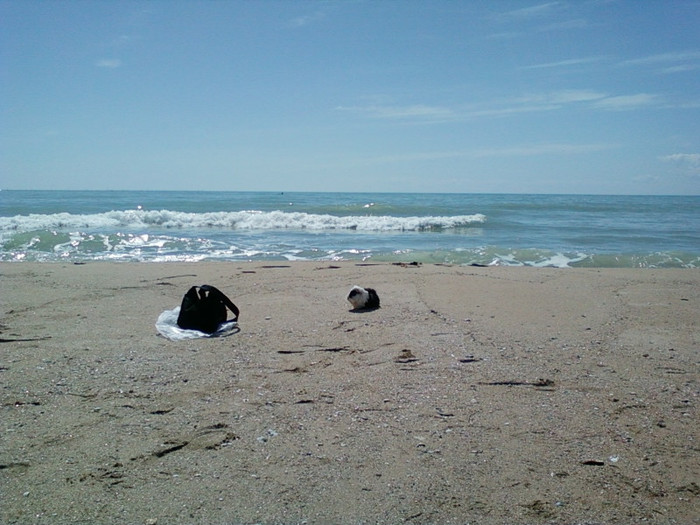 aprilie 2012-Paste in bulgaria 121